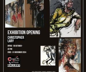 Art Exhibition Opening: Christopher Lary