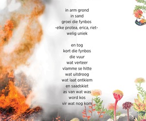 Fynbosgebed: A Poetic Tribute to Fynbos at Grootbos Florilegium