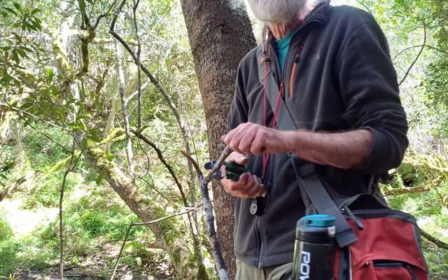 Blog_2_1_7_1728293284