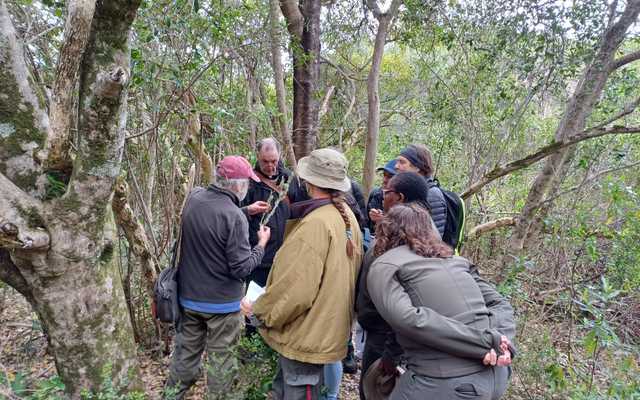 Blog_2_3_3_1728293285