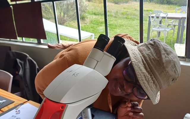 Blog_2_4_2_1728293285