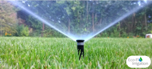 Spring Irrigation Check: Prepare Your Irrigation System