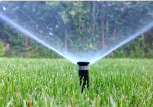 Spring Irrigation Check: Prepare Your Irrigation System
