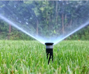Spring Irrigation Check: Prepare Your Irrigation System