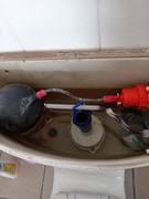 Check for Plumbing Leaks!