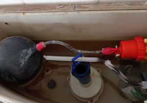 Check for Plumbing Leaks!