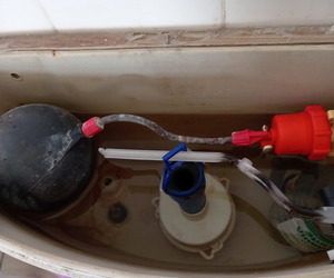 Check for Plumbing Leaks!