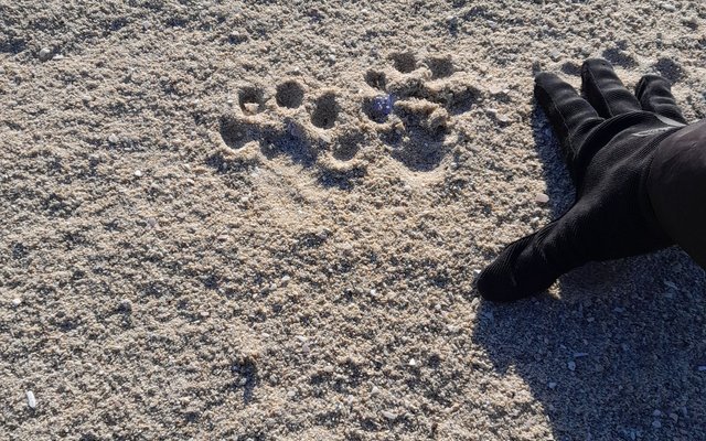 462353726_1089648646494397_897836308758654204_n_1728464665