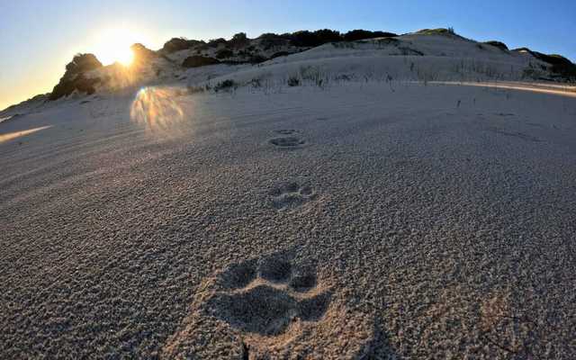 462361076_1089649189827676_1617834845631743876_n_1728464668