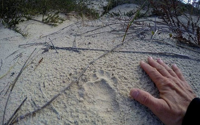 462364033_1089648089827786_8917216009196488289_n_1728464666