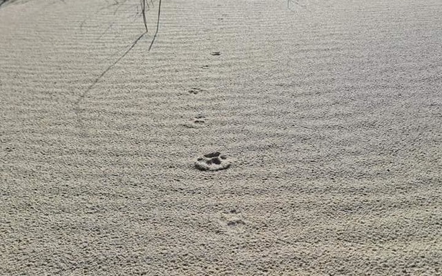 462461863_1089648363161092_2699530300839423372_n_1728464667