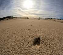 Winter Adventures with Fatbike Tours