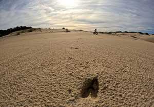 Winter Adventures with Fatbike Tours