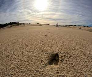 Winter Adventures with Fatbike Tours