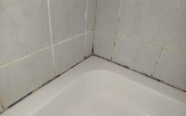 WhatsApp_Image_2024_10_09_at_11.02.43_1_1728466026