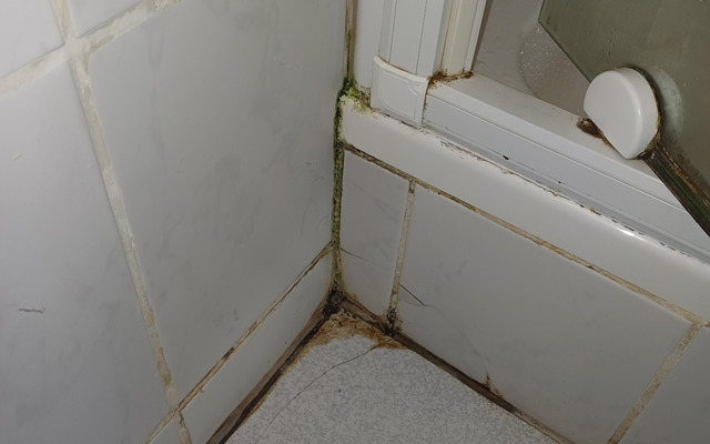 WhatsApp_Image_2024_10_09_at_11.02.44_1_1728466028