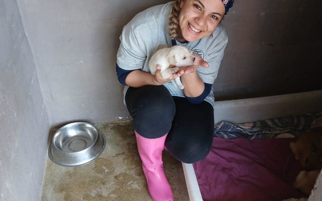 459957871_889441969905573_8271249852802263130_n_1728480446