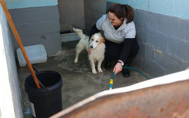 460369425_889441949905575_2775828475523390097_n_1728480448