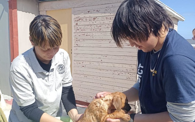 460536567_889442023238901_6779261527270079154_n_1728480446