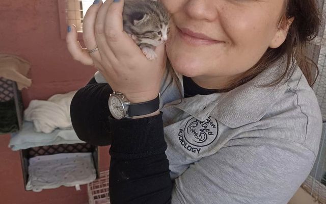 460541255_889441939905576_1234262380747507848_n_1728480448