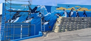 Gorgeous Gansbaai ARTS Project Update!