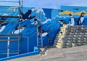 Gorgeous Gansbaai ARTS Project Update!