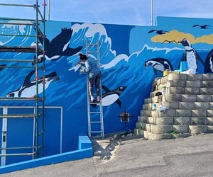 Gorgeous Gansbaai ARTS Project Update!