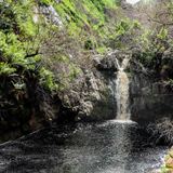 bettys_bay_things_to_do_harold_porter_botanical_garden_waterfall_1572353061_1728908356