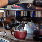 bettys_bay_srestaurant_the_garden_restaurant_cuppachino_1728553415_1728908608