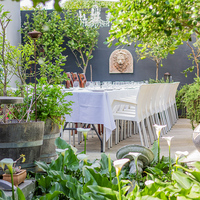 Function - Blue Goose - Xplorio™ Gansbaai