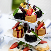 Function - Blue Goose - Xplorio™ Gansbaai