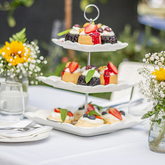 Function - Blue Goose - Xplorio™ Gansbaai