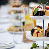 Function - Blue Goose - Xplorio™ Gansbaai