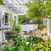 Function - Blue Goose - Xplorio™ Gansbaai