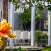 Garden - Blue Goose - Xplorio™ Gansbaai