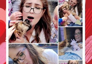 Beautiful Puppy Adopted