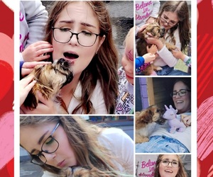 Beautiful Puppy Adopted