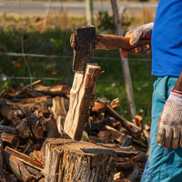 Wood - Cape Wood Harvesters - Xplorio™ Gansbaai