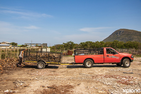 gansbaai_braai_wood_cape_wood_harvesters_bakkie_load_deliveries_1729079288