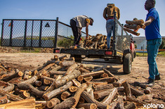 gansbaai_braai_wood_cape_wood_harvesters_wood_packing_services_1729079319