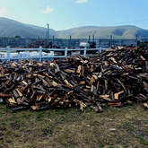 Wood - Cape Wood Harvesters - Xplorio™ Gansbaai