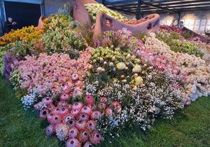 Bravo, Grootbos! - Chelsea Flowers in Stanford