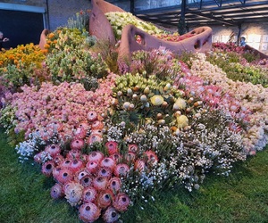 Bravo, Grootbos! - Chelsea Flowers in Stanford