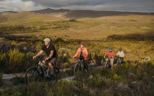 WHMM1323_1723812710_1729166053