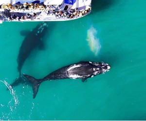 ‘A Sea of Experiences with a Place for All’