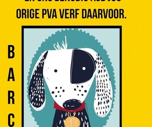 It’s Time for a Makeover at BARC Animal Welfare!