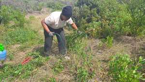 Employability Programme Update: Siphokuhle’s Journey