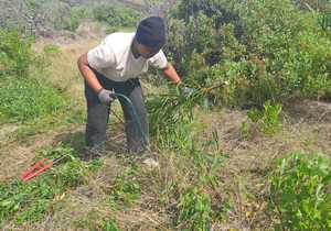 Employability Programme Update: Siphokuhle’s Journey