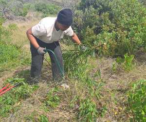 Employability Programme Update: Siphokuhle’s Journey