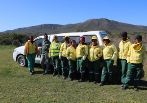 Entrepreneurship Programme Update